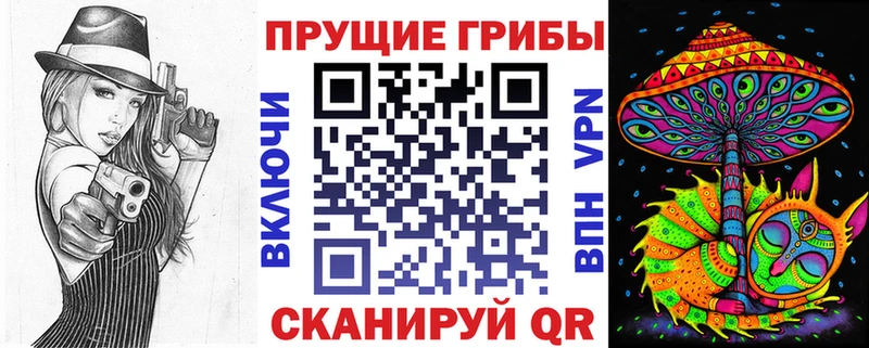 Псилоцибиновые грибы Cubensis  Купить  Хотьково 